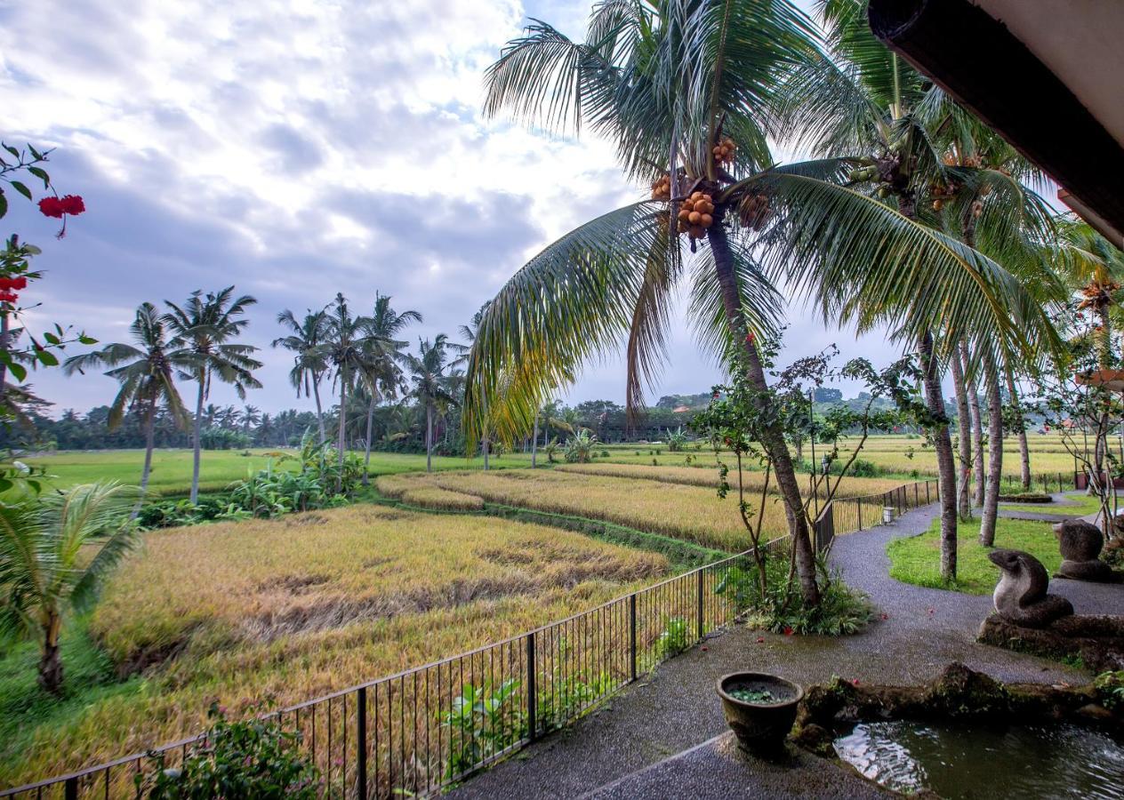 Green Field Hotel And Restaurant Ubud Exterior foto